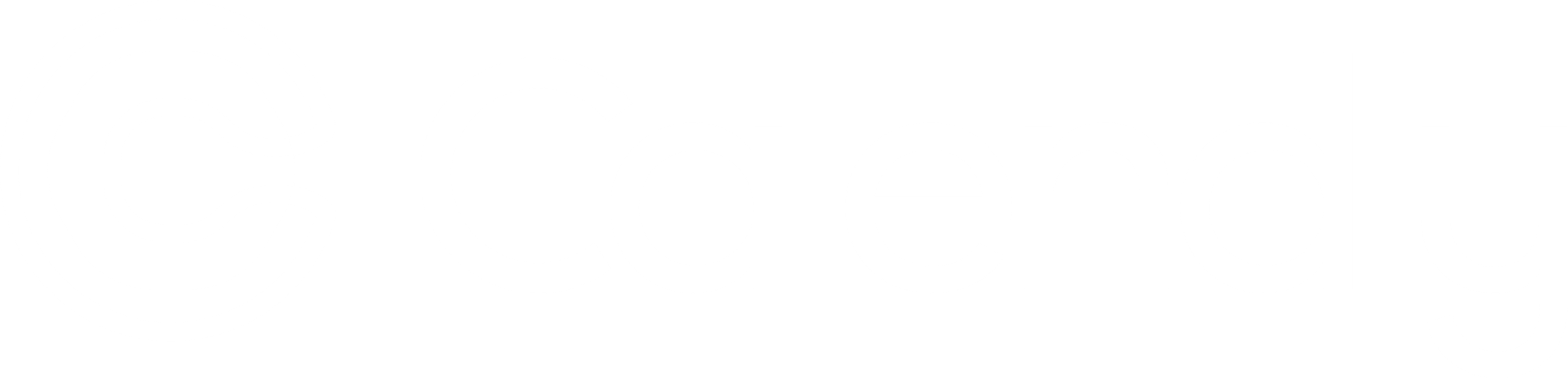 Braintree Logo