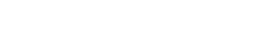 Braintree Logo