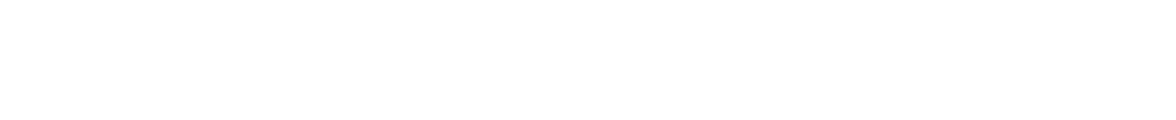 Braintree Logo