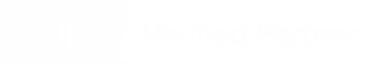 stripe partner