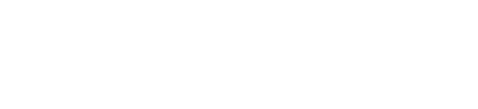 Braintree Logo