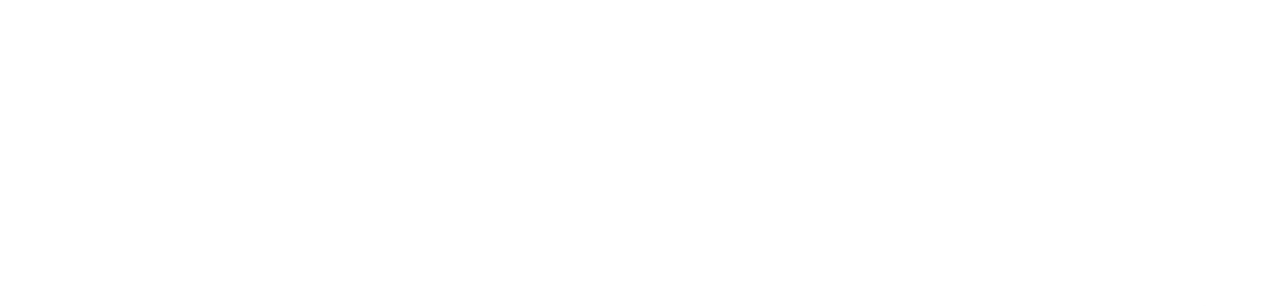 Braintree Logo