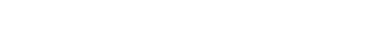 Braintree Logo