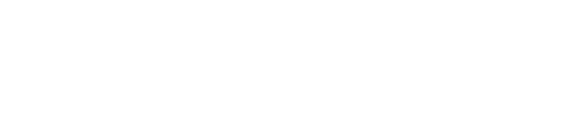 Braintree Logo