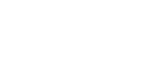 Braintree Logo